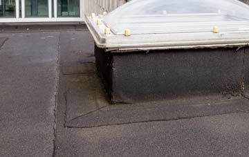 disadvantages of Common Hill flat roofs