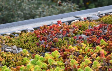 the cost of Common Hill green roof installation
