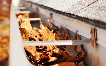 Common Hill gutter cleaning companies