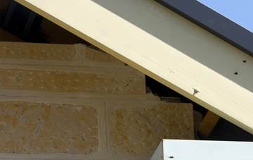 soffit repair Common Hill