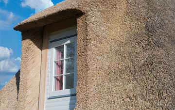 Common Hill thatch roof disadvantages